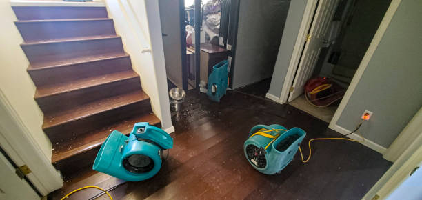Best Carpet water damage restoration  in Navy, VA