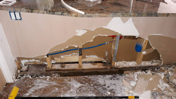 Best Flood damage cleanup  in Navy, VA