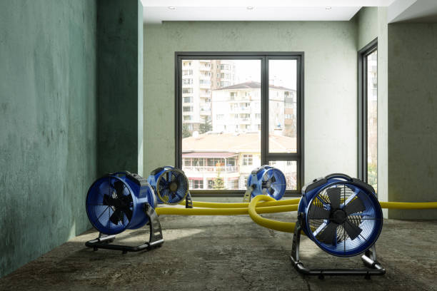 Best 24-hour water damage restoration  in Navy, VA