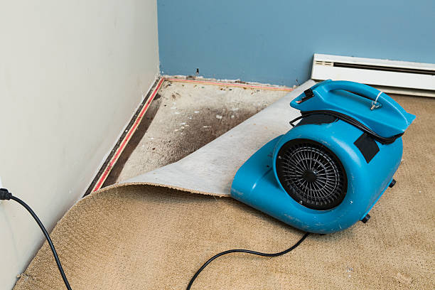 Best Residential water damage restoration  in Navy, VA